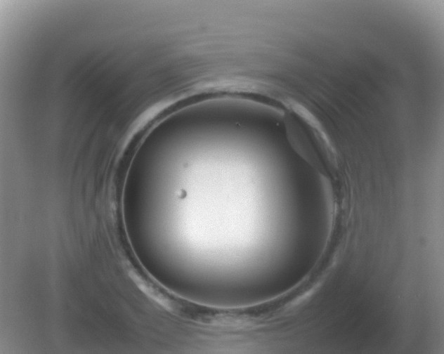 X0000082170981200701262355