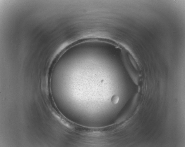 X0000082170982200701262355