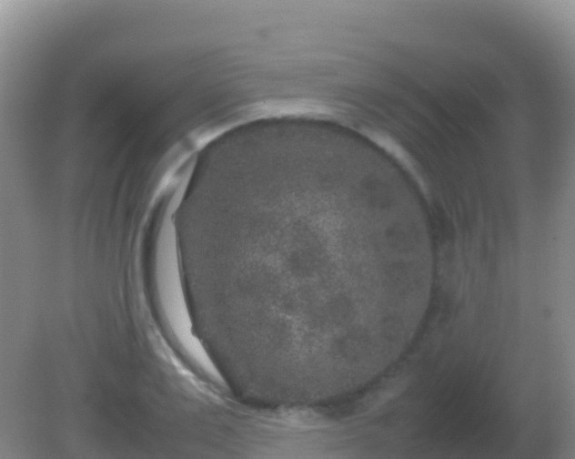 X0000082170983200701262355