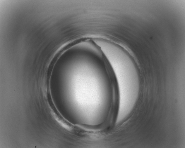 X0000082170984200701262355