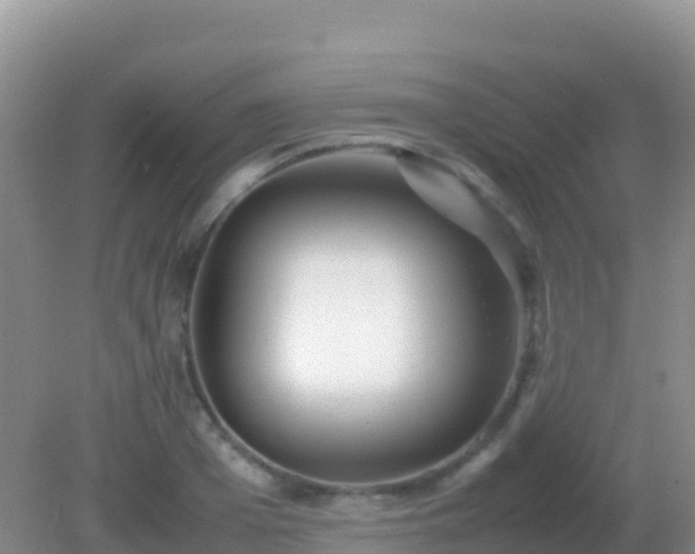 X0000082170985200701262355