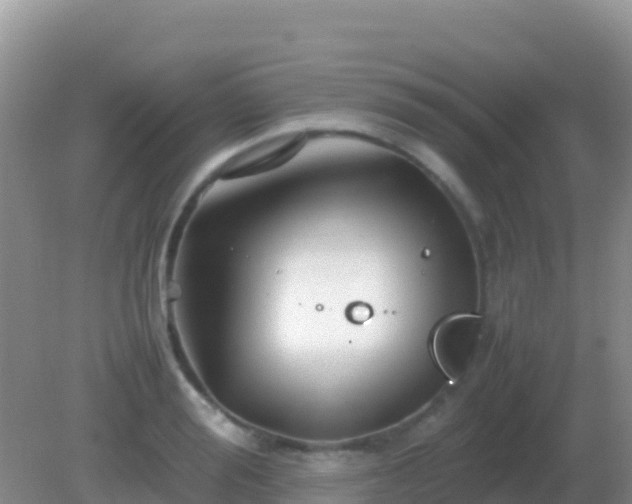 X0000082170988200701262355