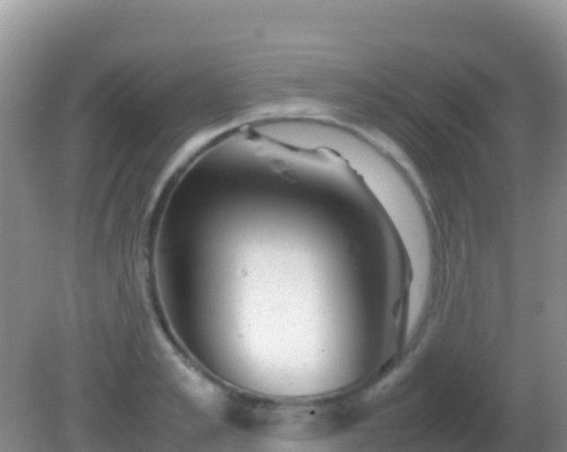 X0000082170989200701262355