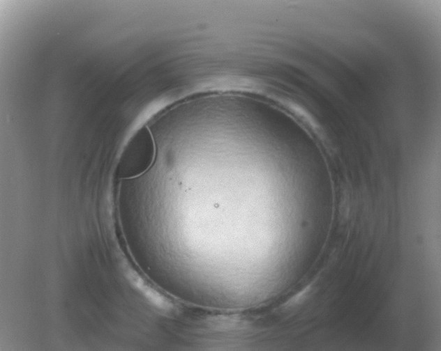 X0000082170990200701262355