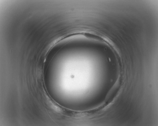 X0000082170993200701262355