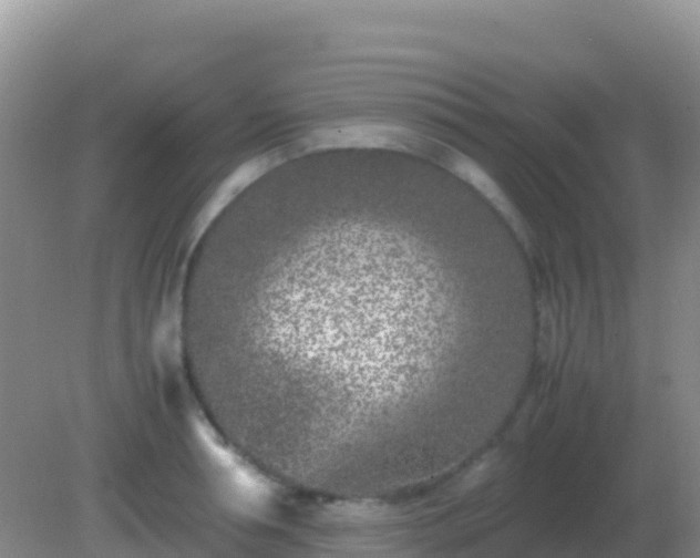 X0000082170994200701262355