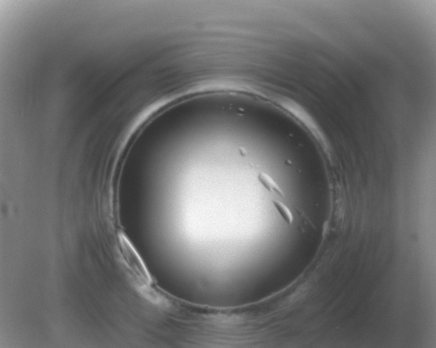 X0000082170996200701262355