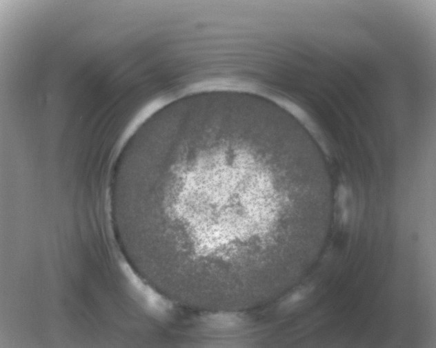 X0000082170998200701262355