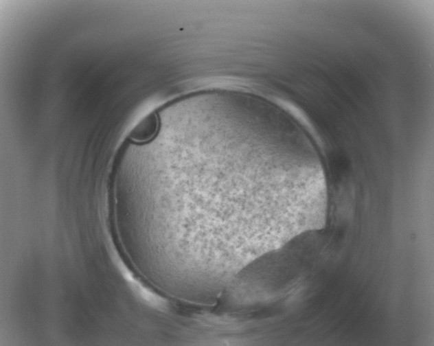 X0000082170999200701262355