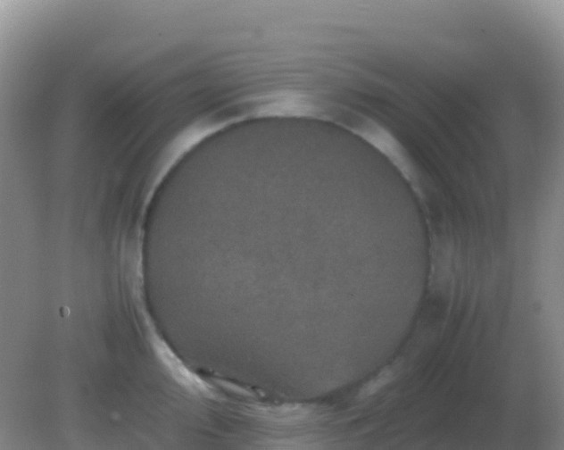 X0000082171000200701262355