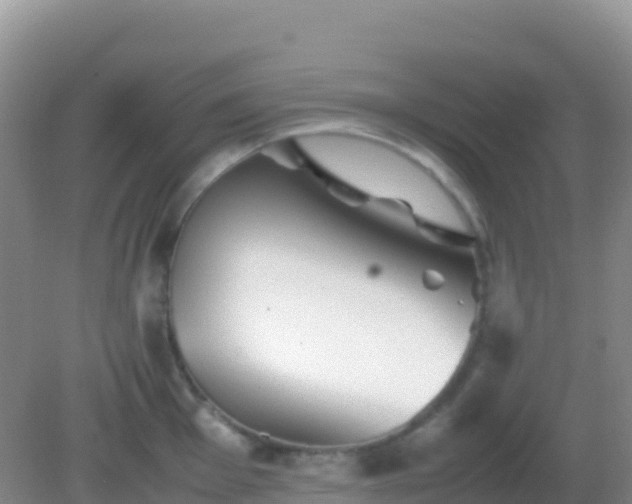 X0000082171001200701262355