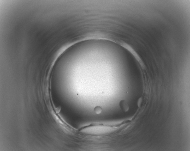 X0000082171004200701262355