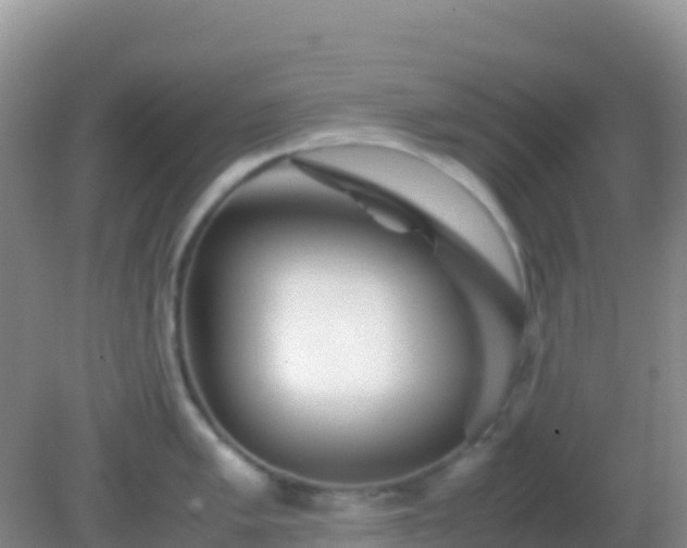 X0000082171005200701262355