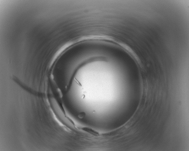 X0000082171006200701262355