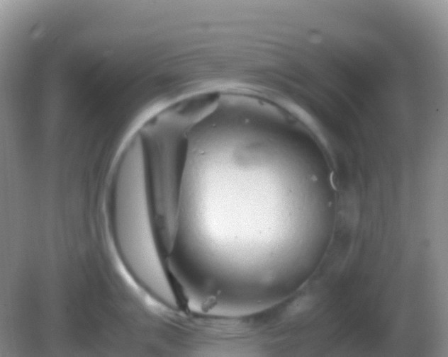 X0000082171007200701262355