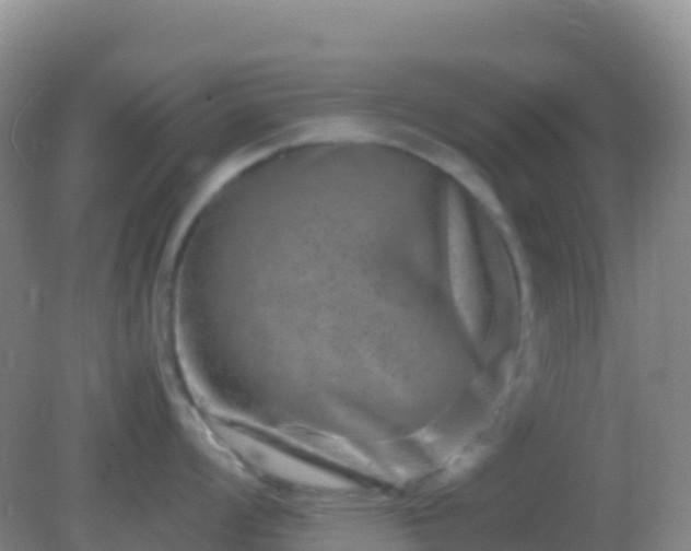 X0000082171008200701262355