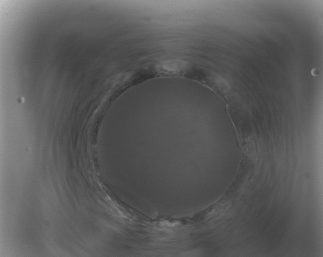 X0000082171009200701262354