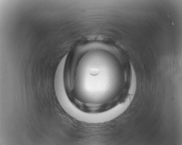 X0000082171010200701262354