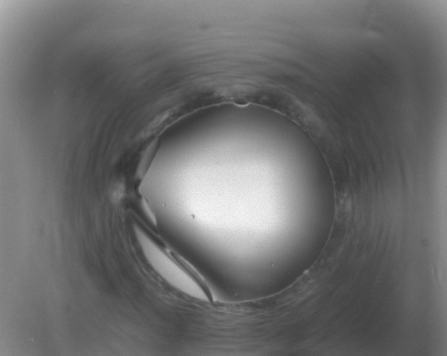 X0000082171012200701262354