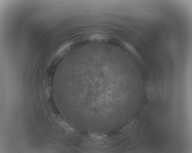 X0000082171015200701262354