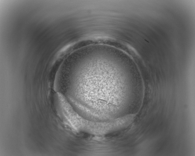 X0000082171016200701262354