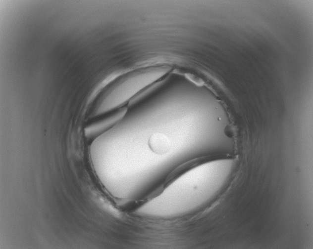 X0000082171018200701262354