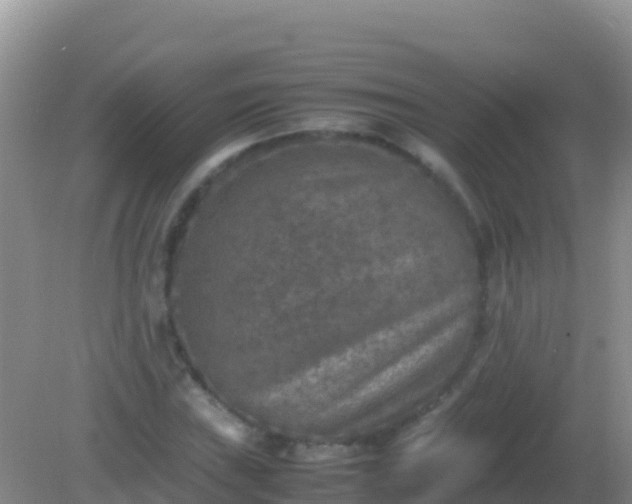 X0000082171019200701262354