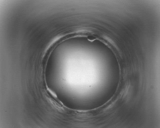 X0000082171021200701262354