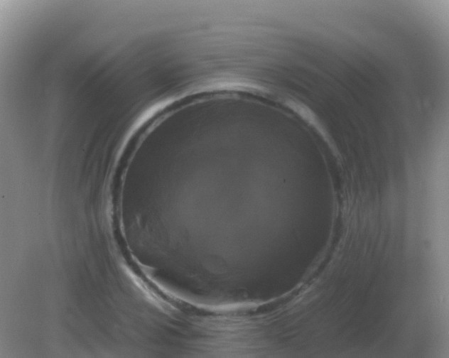 X0000082171024200701262354