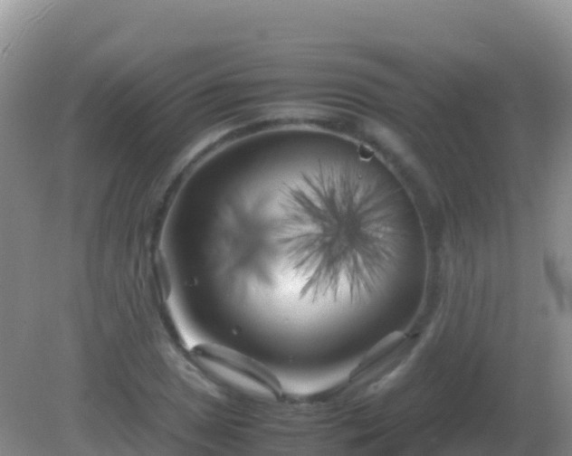 X0000082171025200701262354