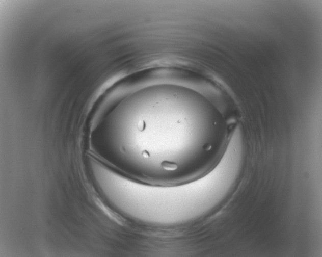 X0000082171026200701262354