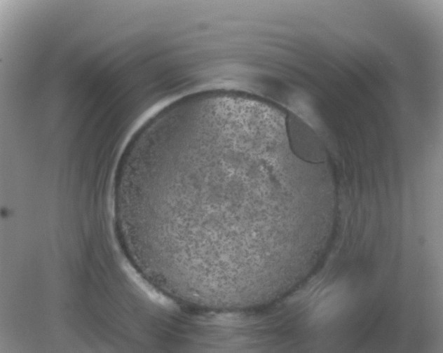 X0000082171028200701262354