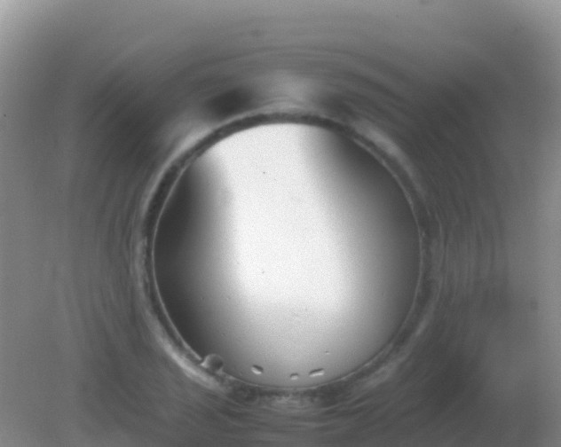 X0000082171029200701262355