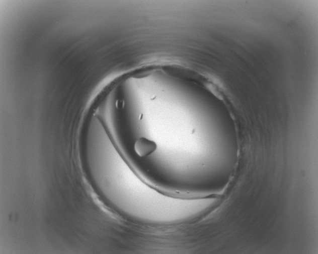 X0000082171030200701262355