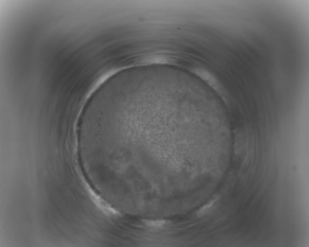 X0000082171031200701262355