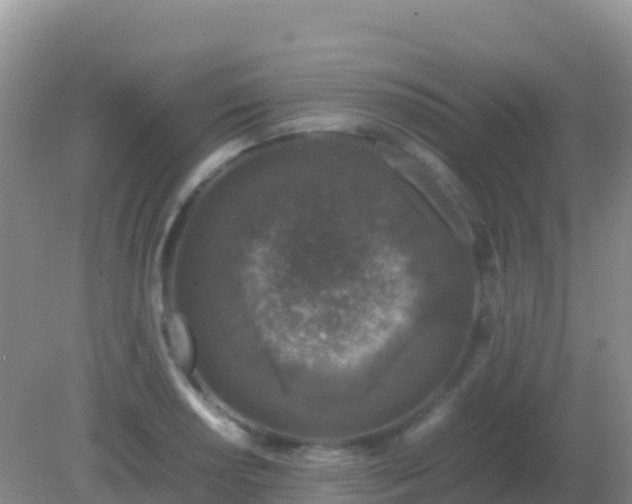 X0000082171034200701262355