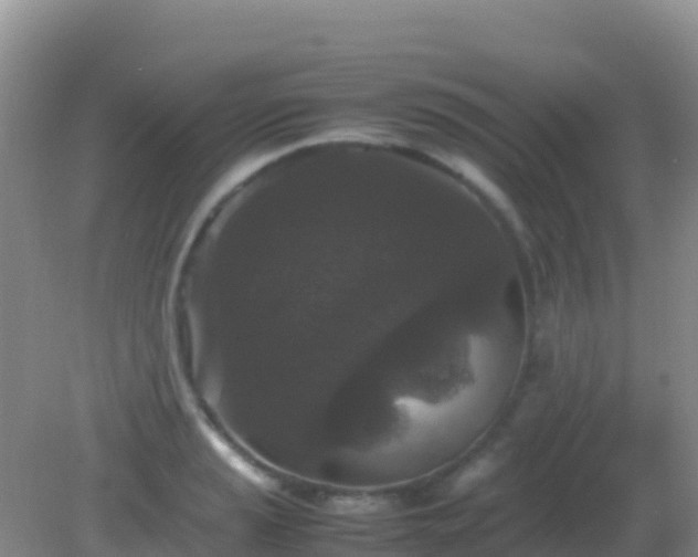 X0000082171037200701262355