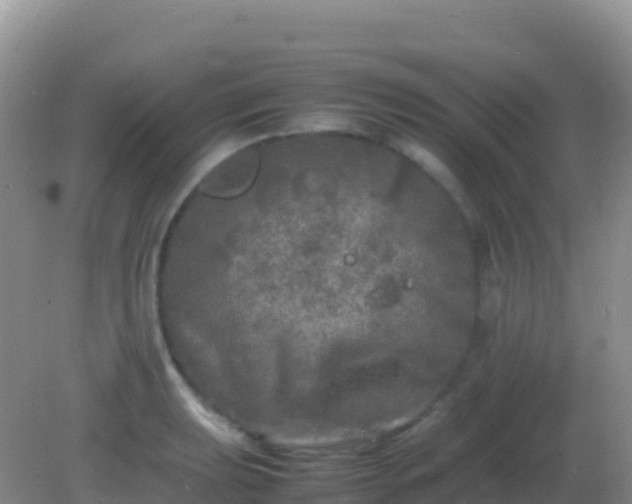 X0000082171039200701262355