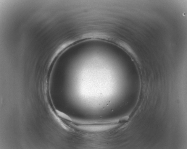 X0000082171040200701262355