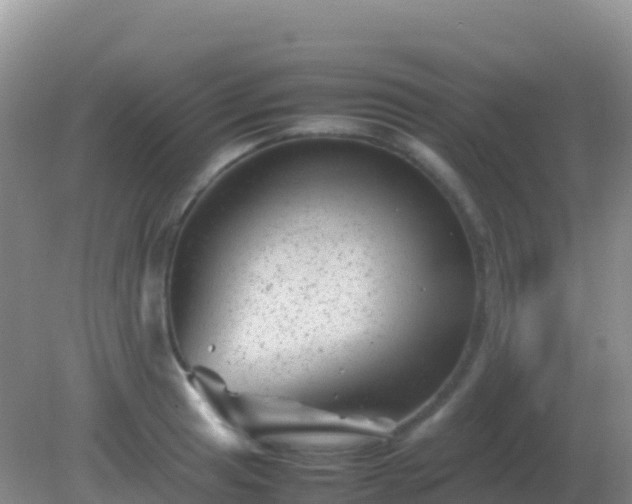 X0000082171041200701262355