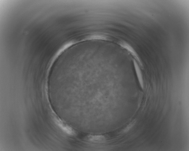 X0000082171043200701262355