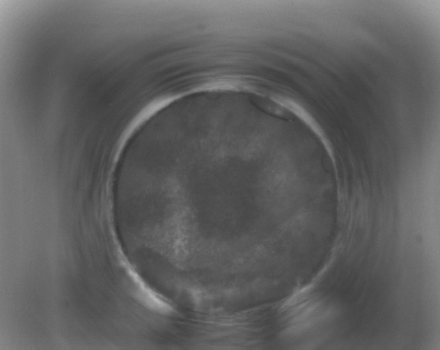 X0000082171045200701262355