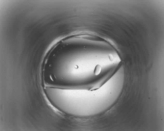 X0000082171046200701262355