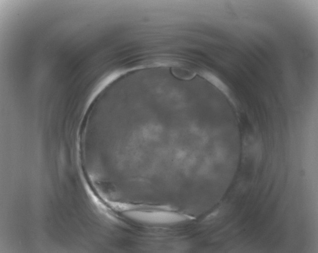 X0000082171047200701262355