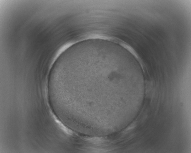 X0000082171048200701262355