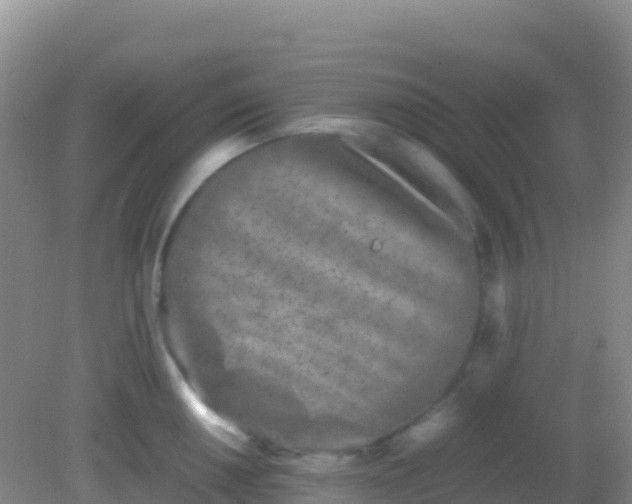 X0000082171050200701262355