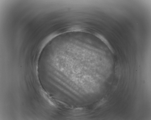 X0000082171051200701262355