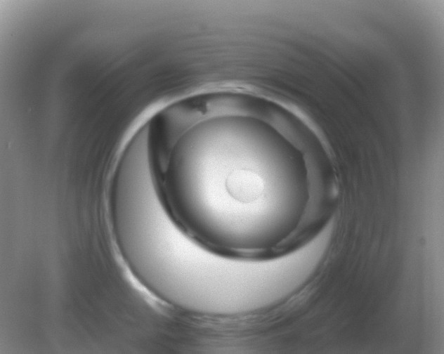 X0000082171054200701262355