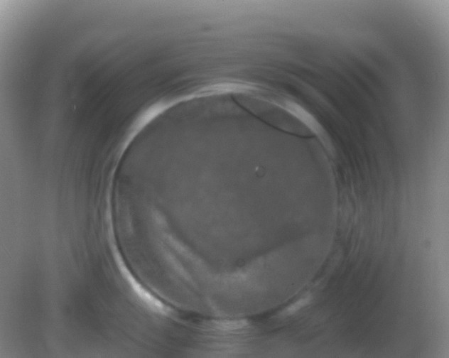 X0000082171055200701262355