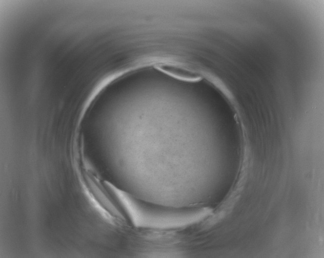 X0000082171056200701262355